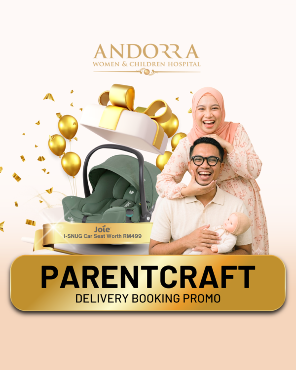 Delivery Package Promo
